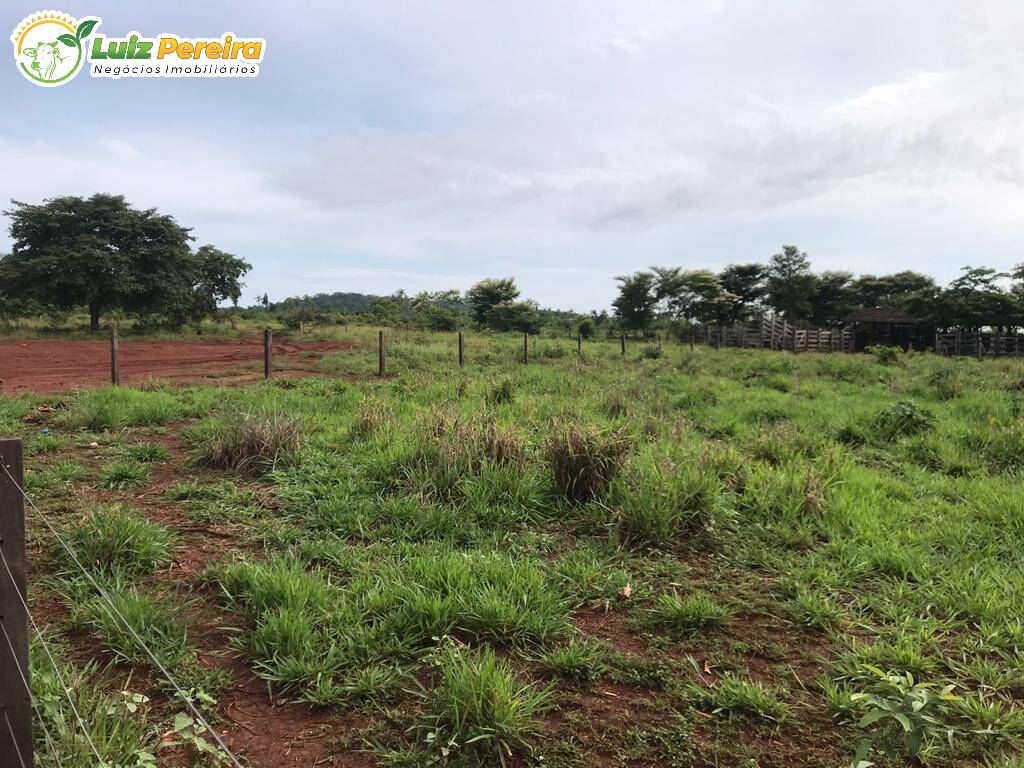 Terreno à venda, 4598m² - Foto 1