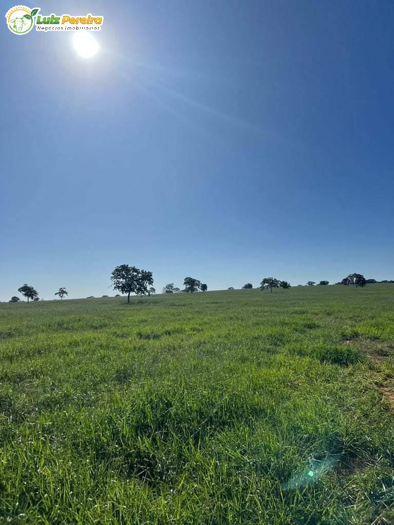 Terreno, 242 m² - Foto 4