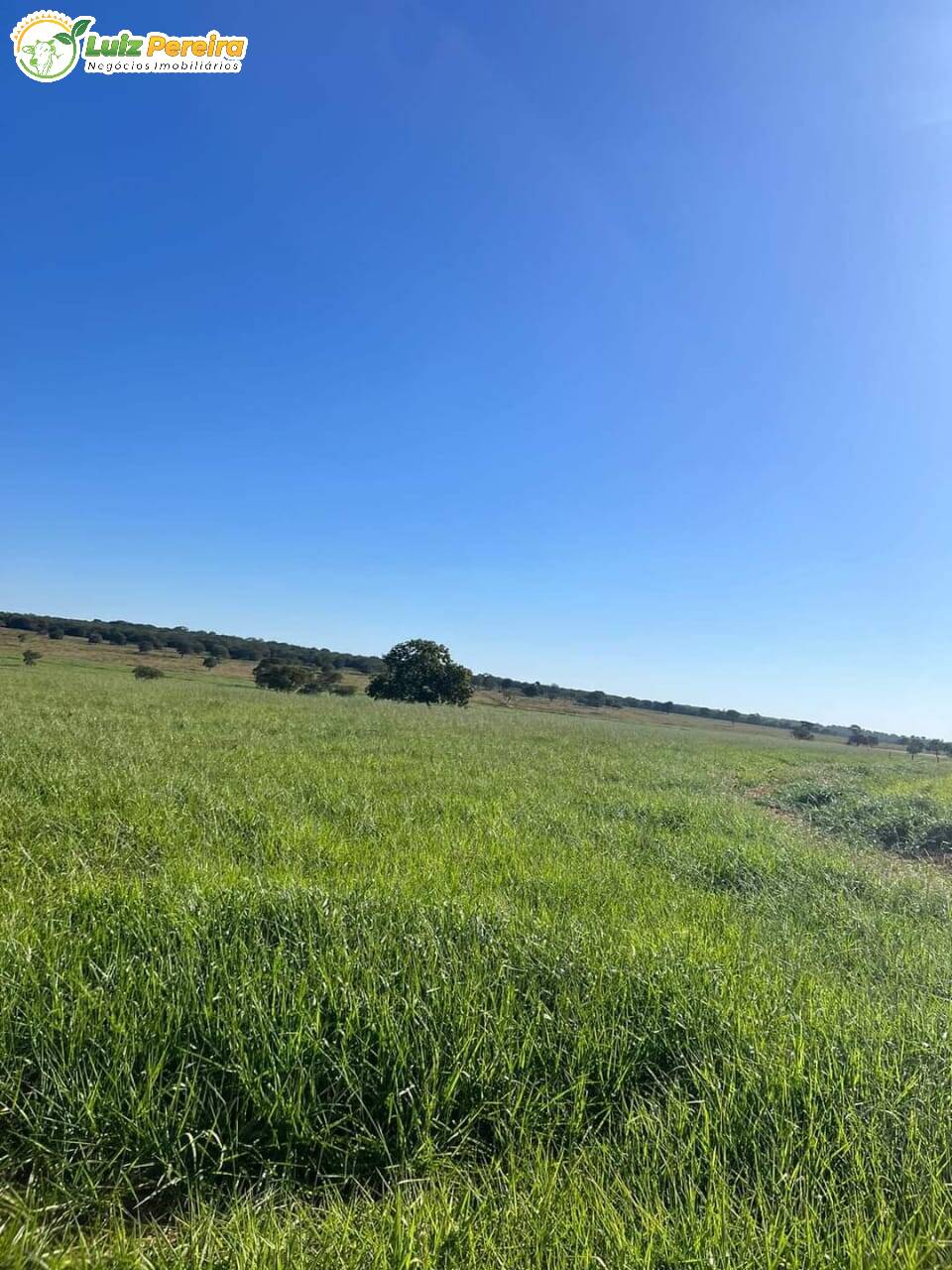 Terreno, 242 m² - Foto 1