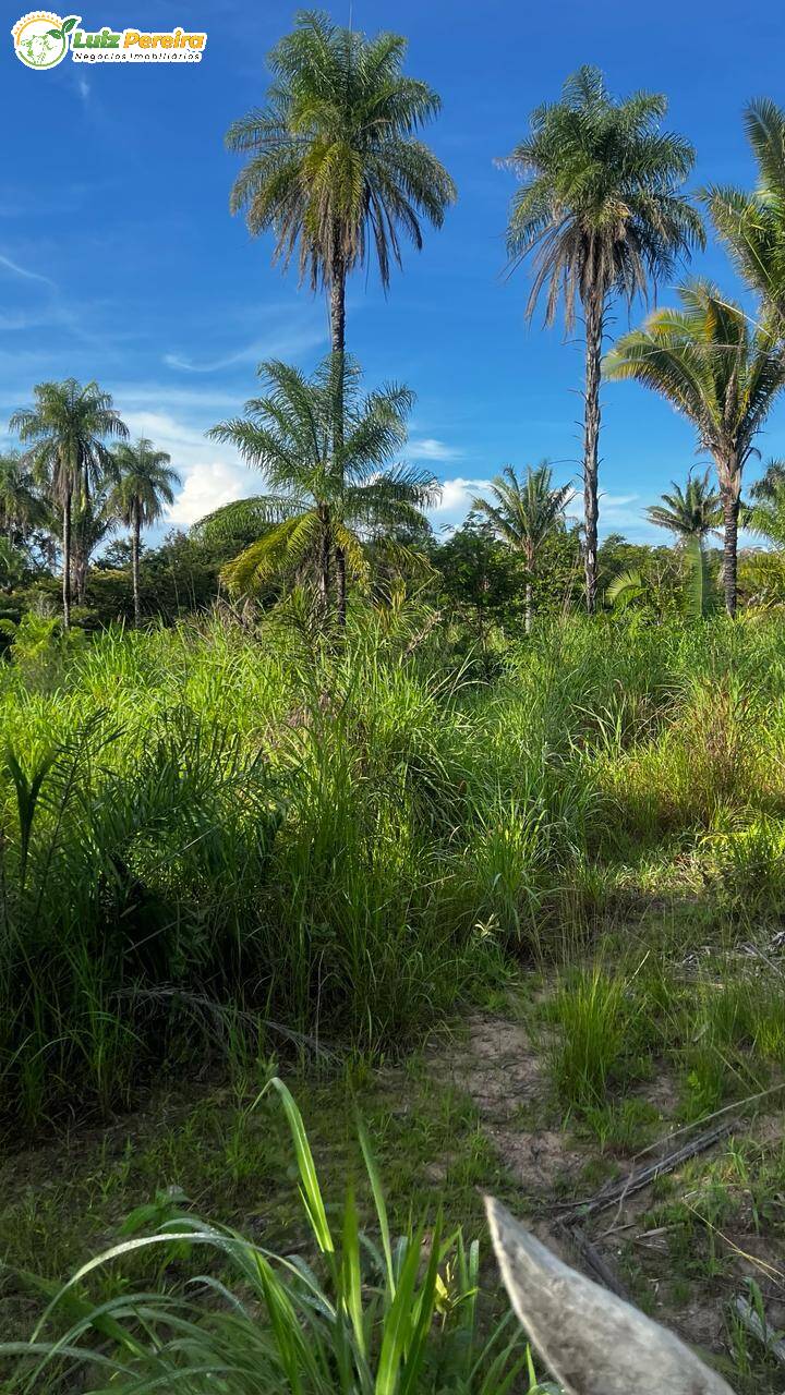 Terreno à venda, 1500m² - Foto 2