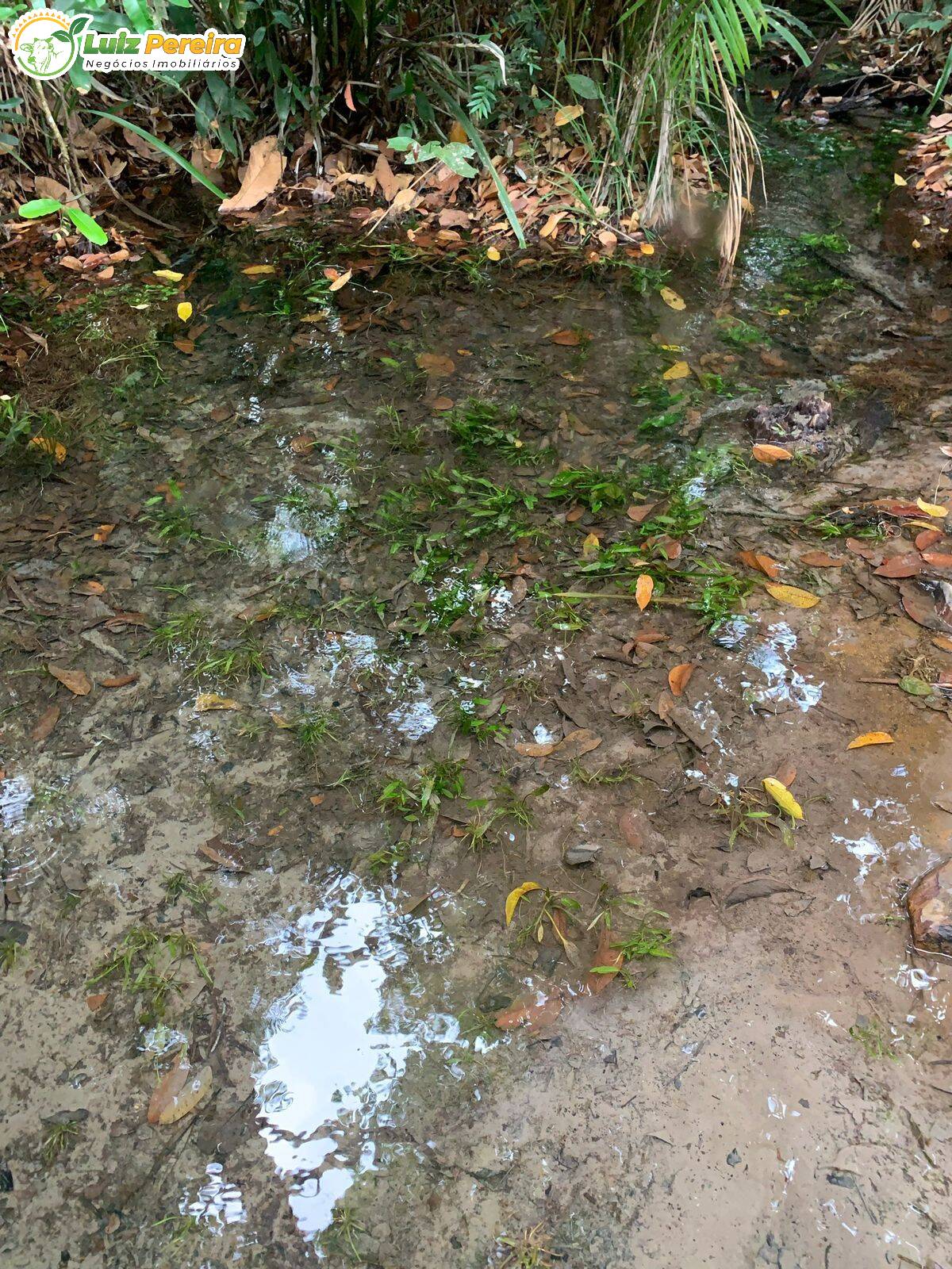 Terreno à venda, 500m² - Foto 5