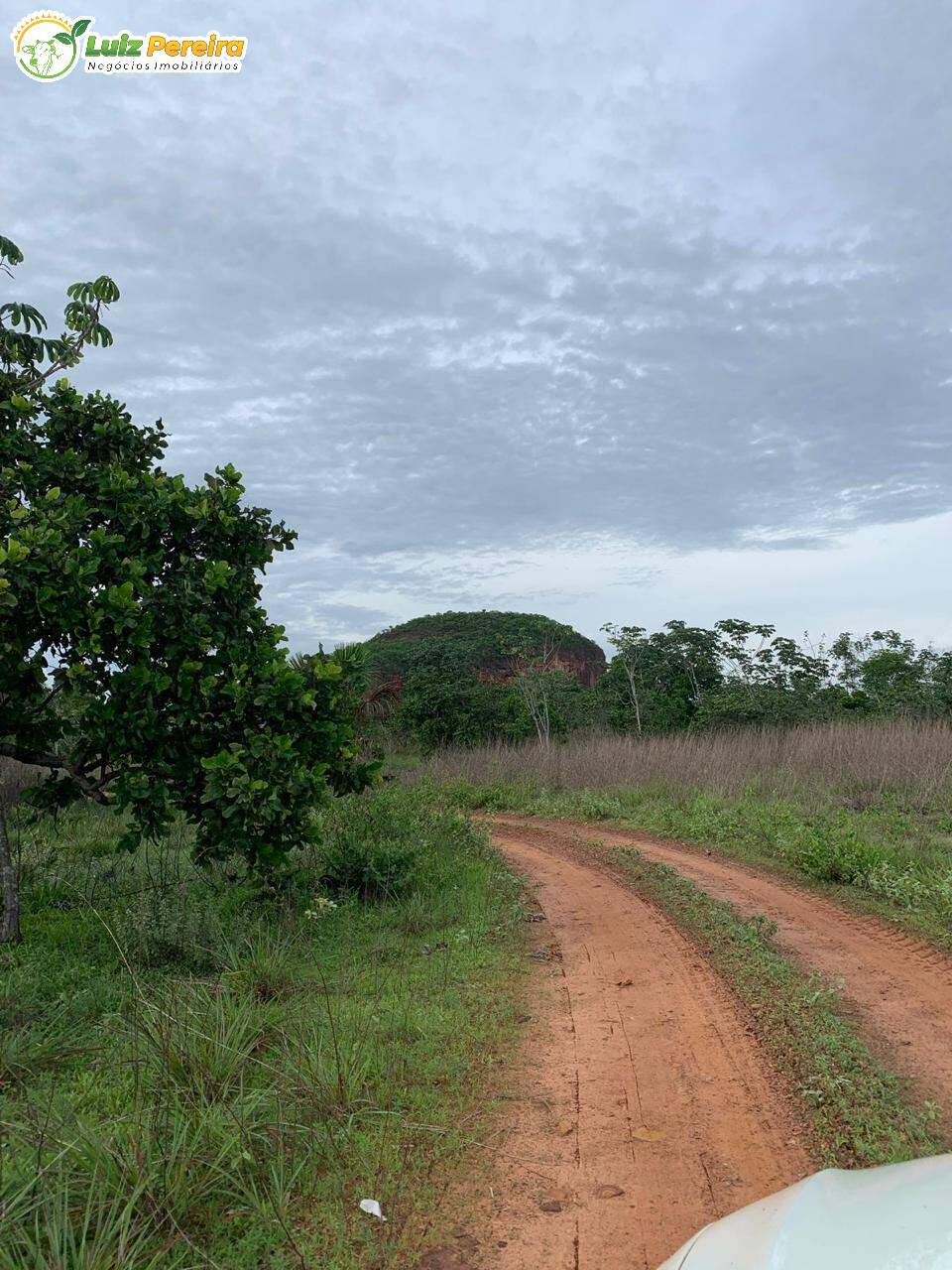 Terreno à venda, 500m² - Foto 8