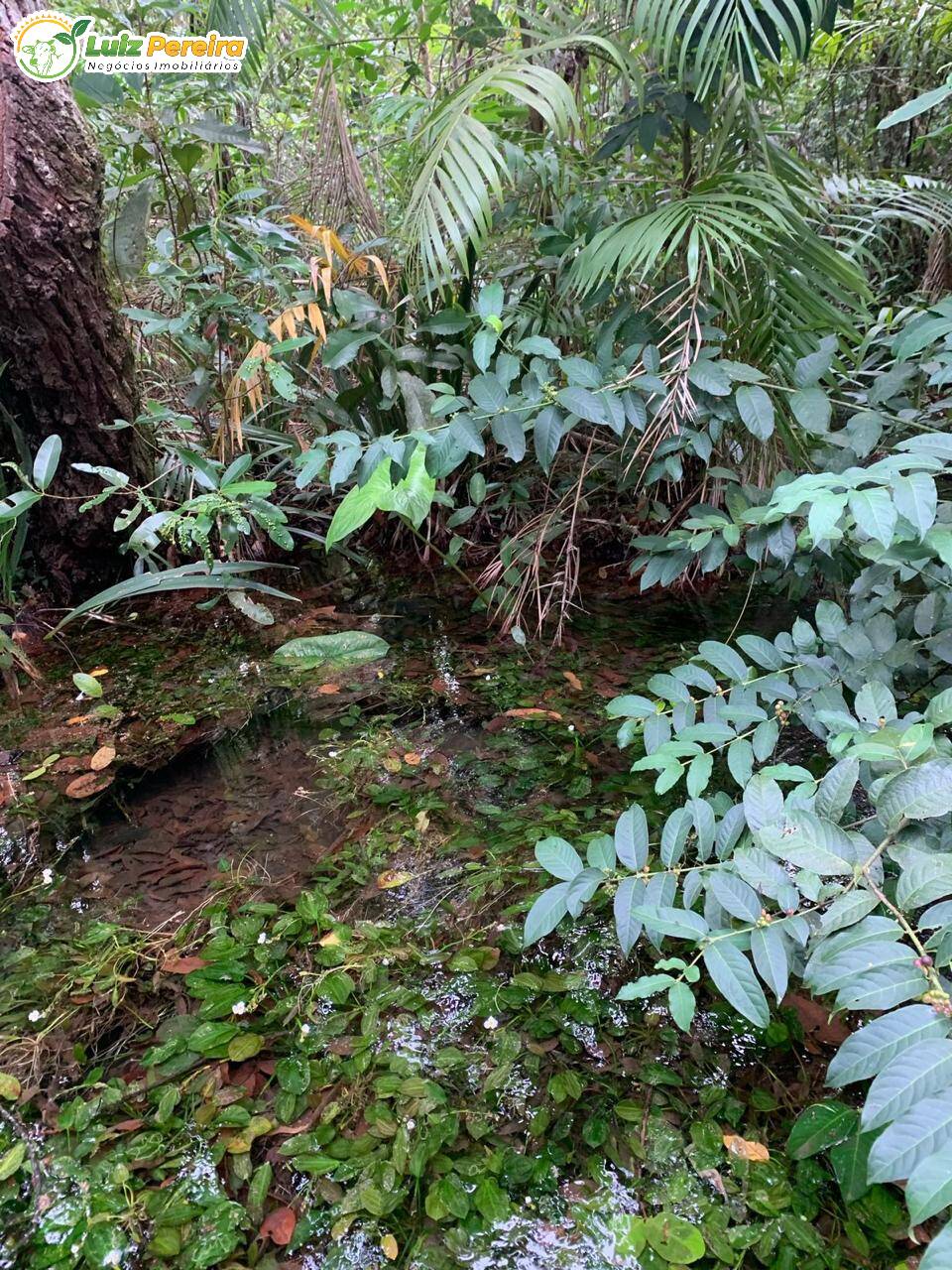 Terreno à venda, 500m² - Foto 2