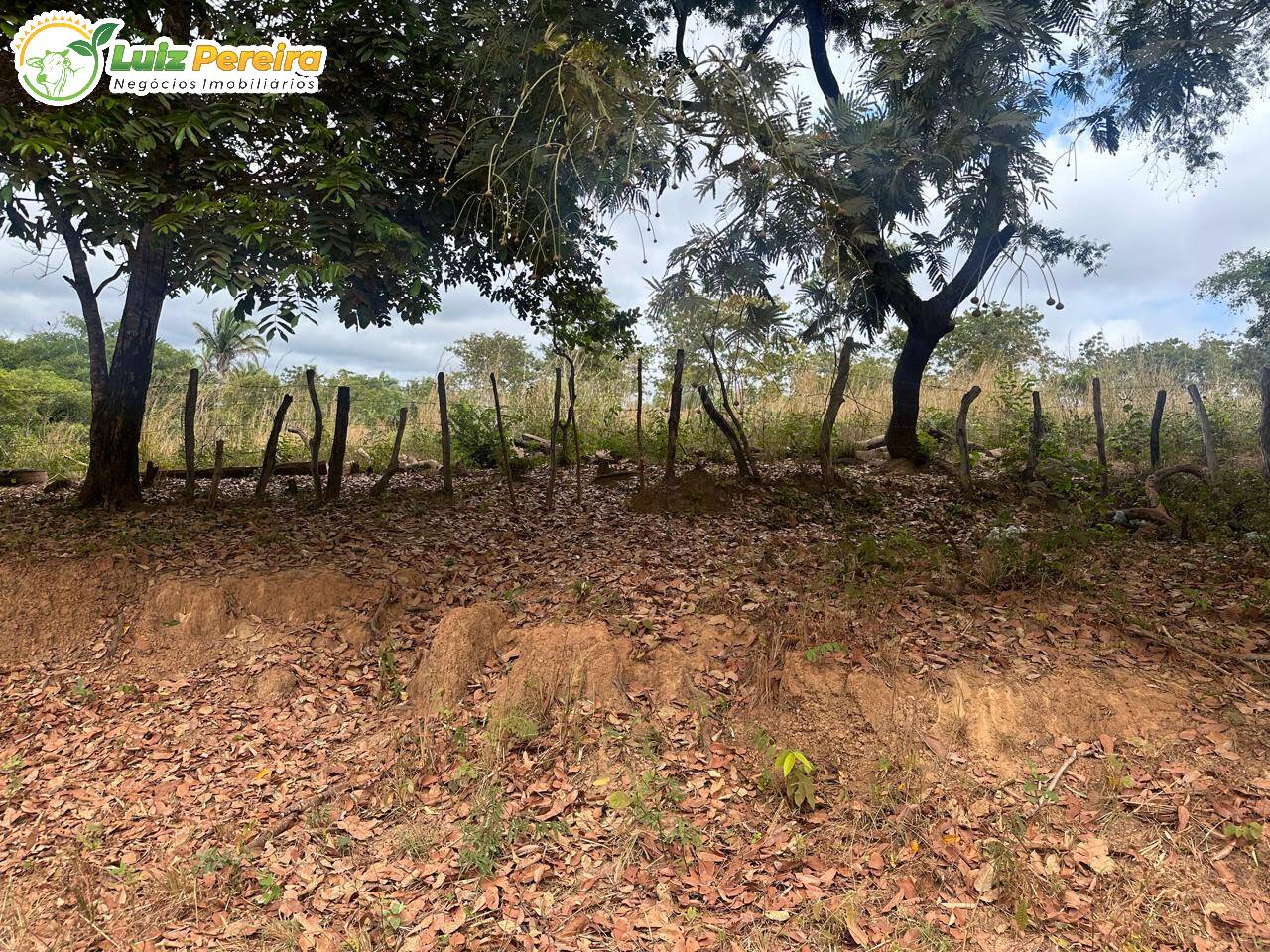 Terreno à venda, 700m² - Foto 1