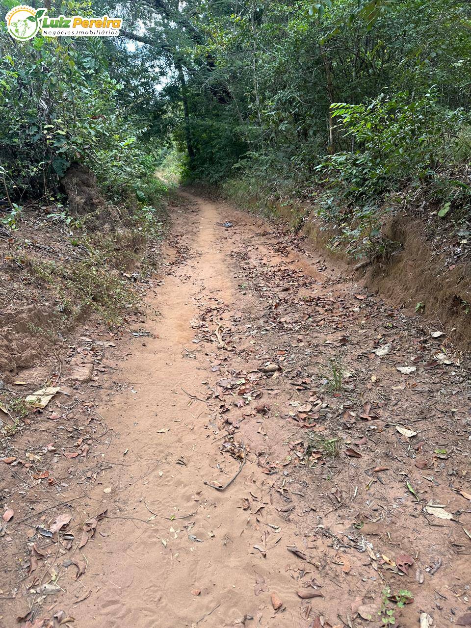 Terreno à venda, 700m² - Foto 5