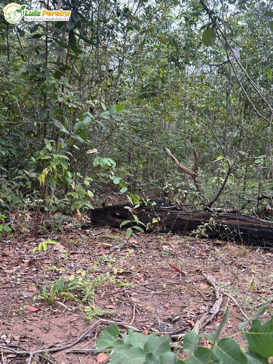Terreno à venda, 700m² - Foto 4