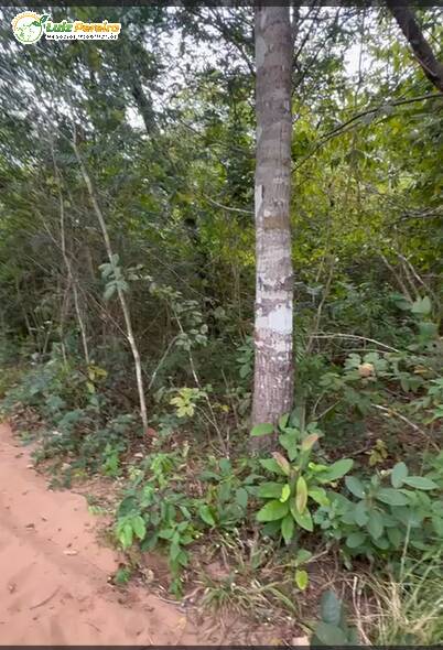 Terreno à venda, 700m² - Foto 2