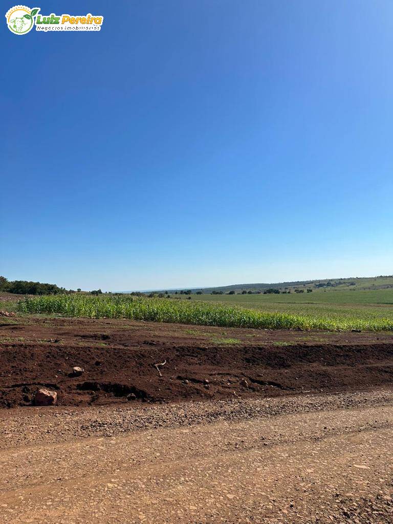 Terreno, 1250 m² - Foto 4