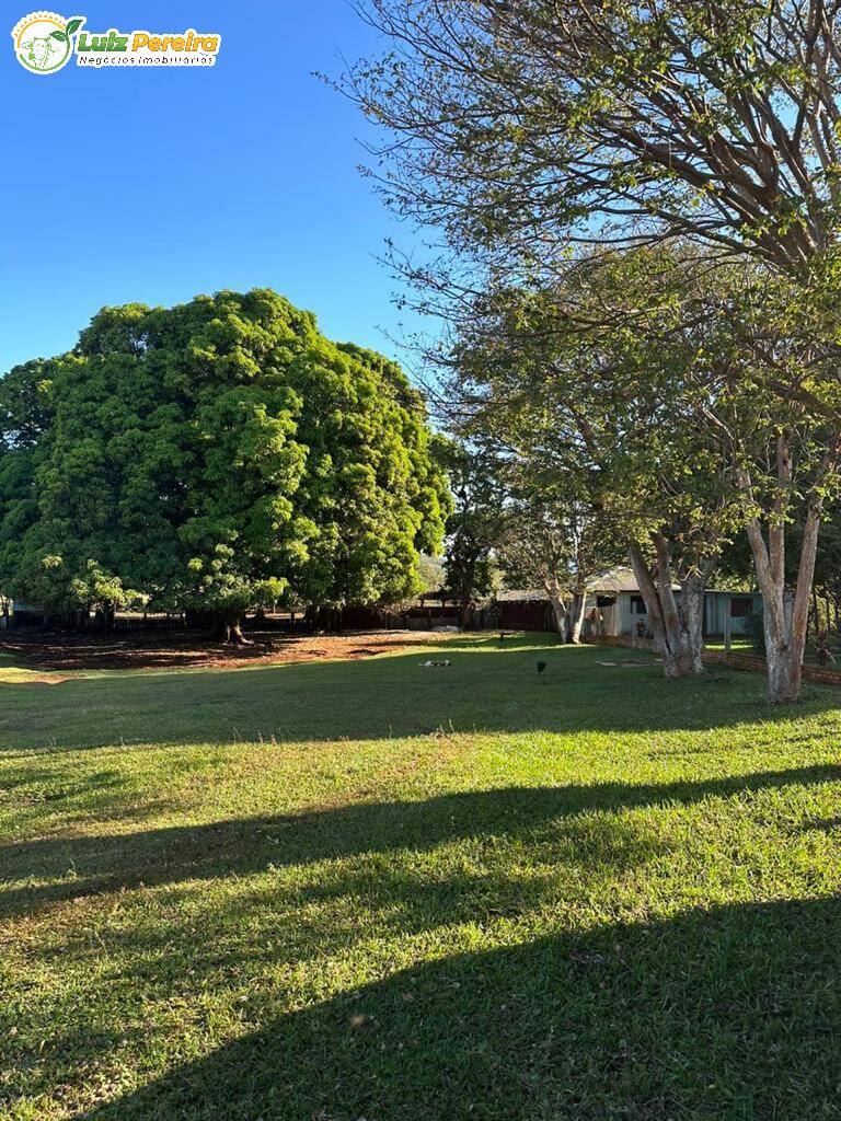 Terreno, 1250 m² - Foto 6