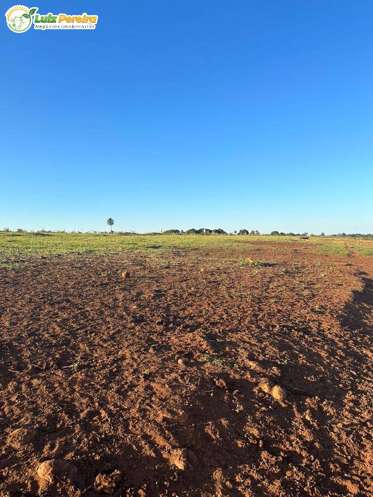 Terreno, 1250 m² - Foto 9