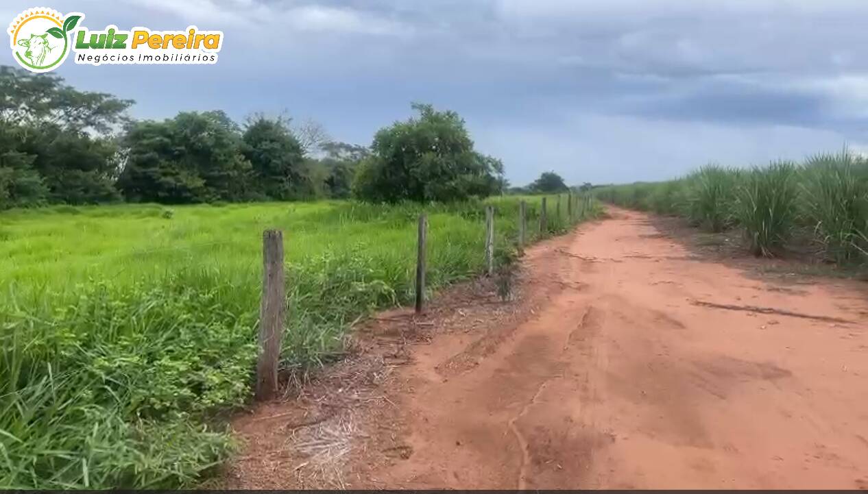 Terreno à venda, 256m² - Foto 7