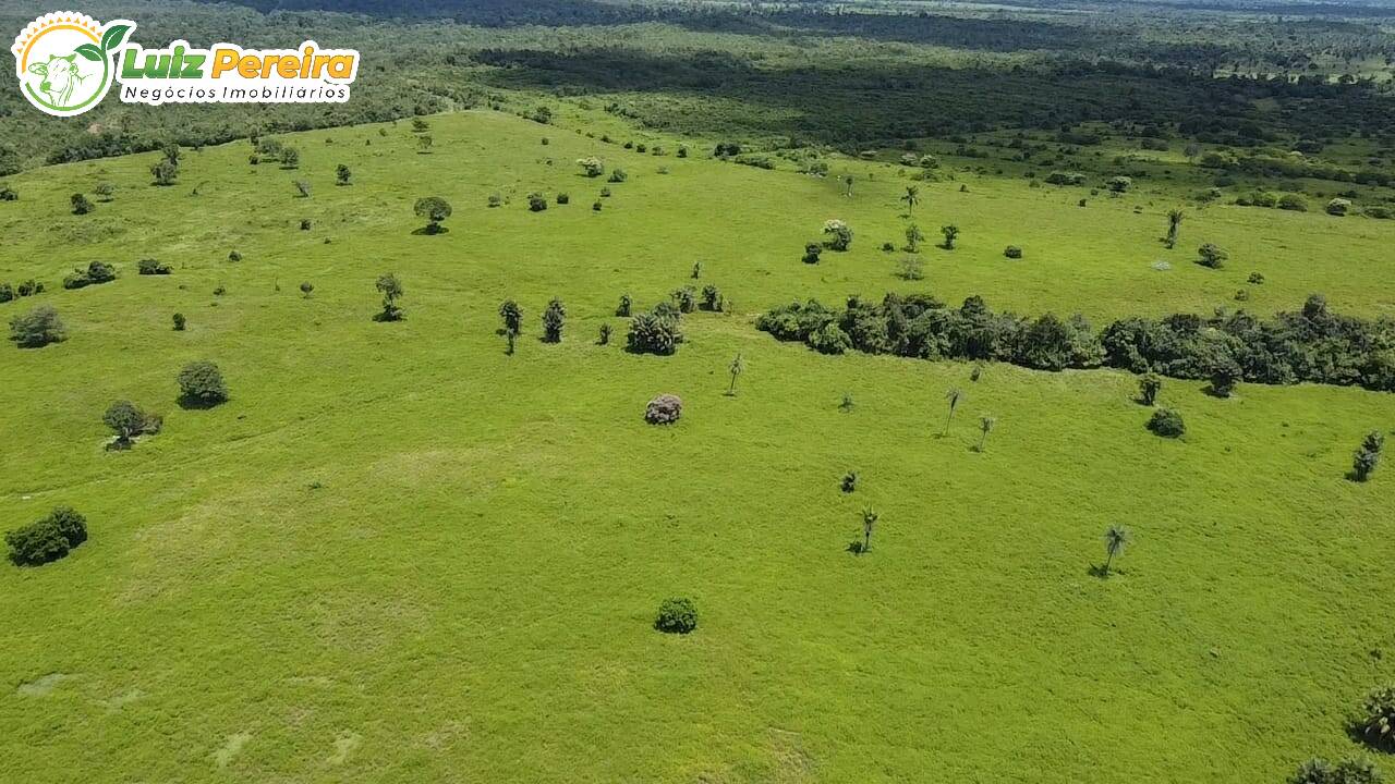 Terreno à venda, 2207m² - Foto 4