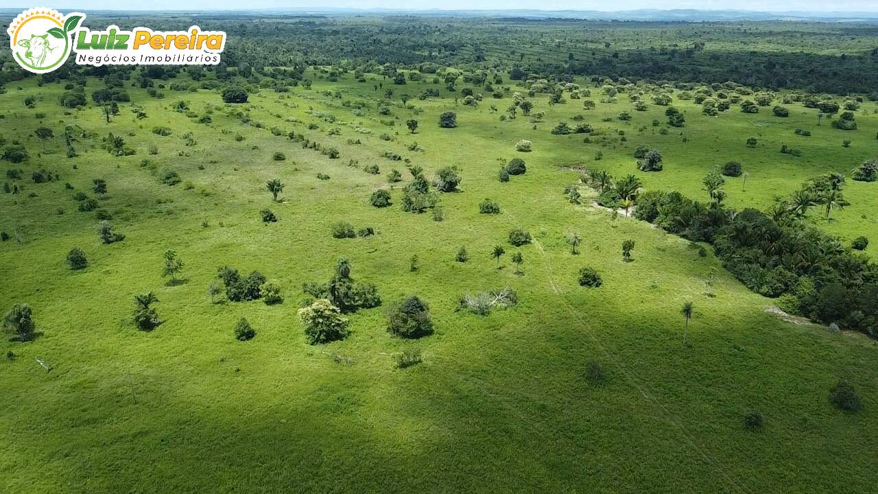 Terreno à venda, 2207m² - Foto 8