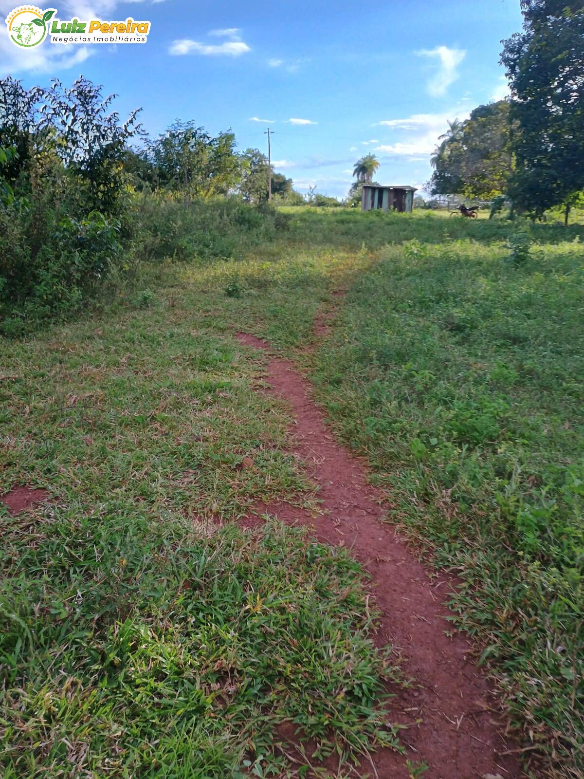 Terreno à venda, 2207m² - Foto 14