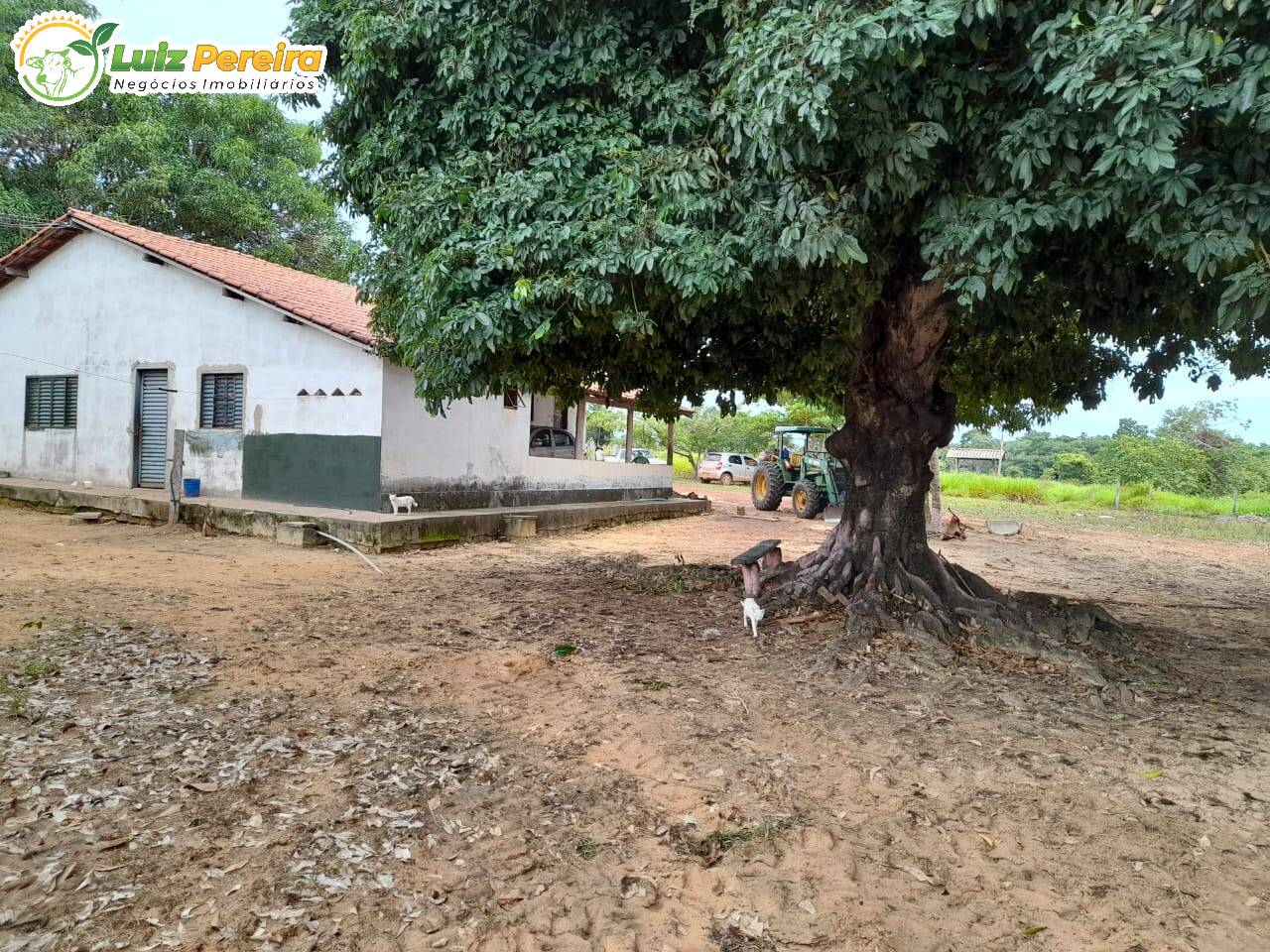 Terreno à venda, 1461m² - Foto 7