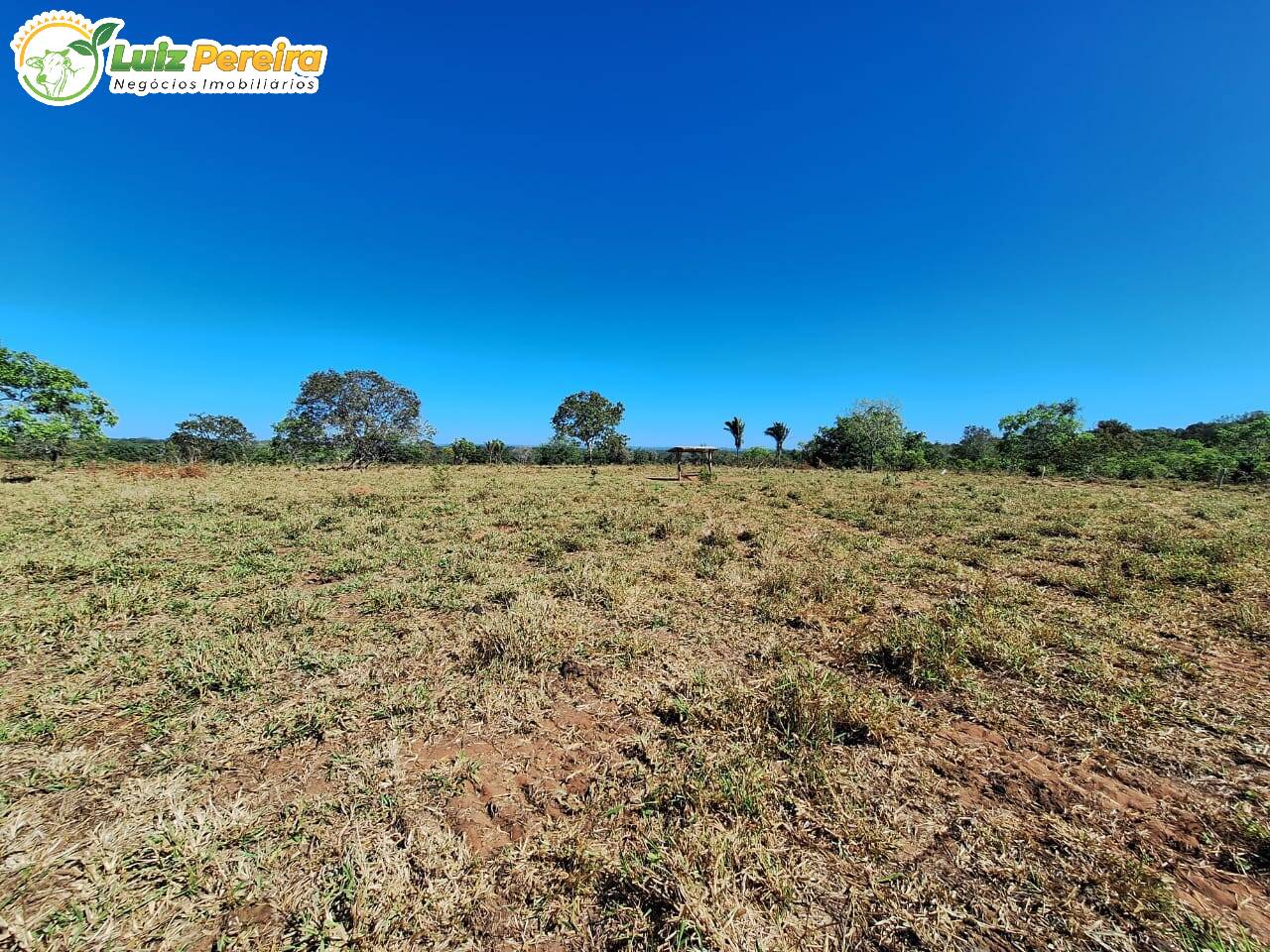 Terreno à venda, 1461m² - Foto 2