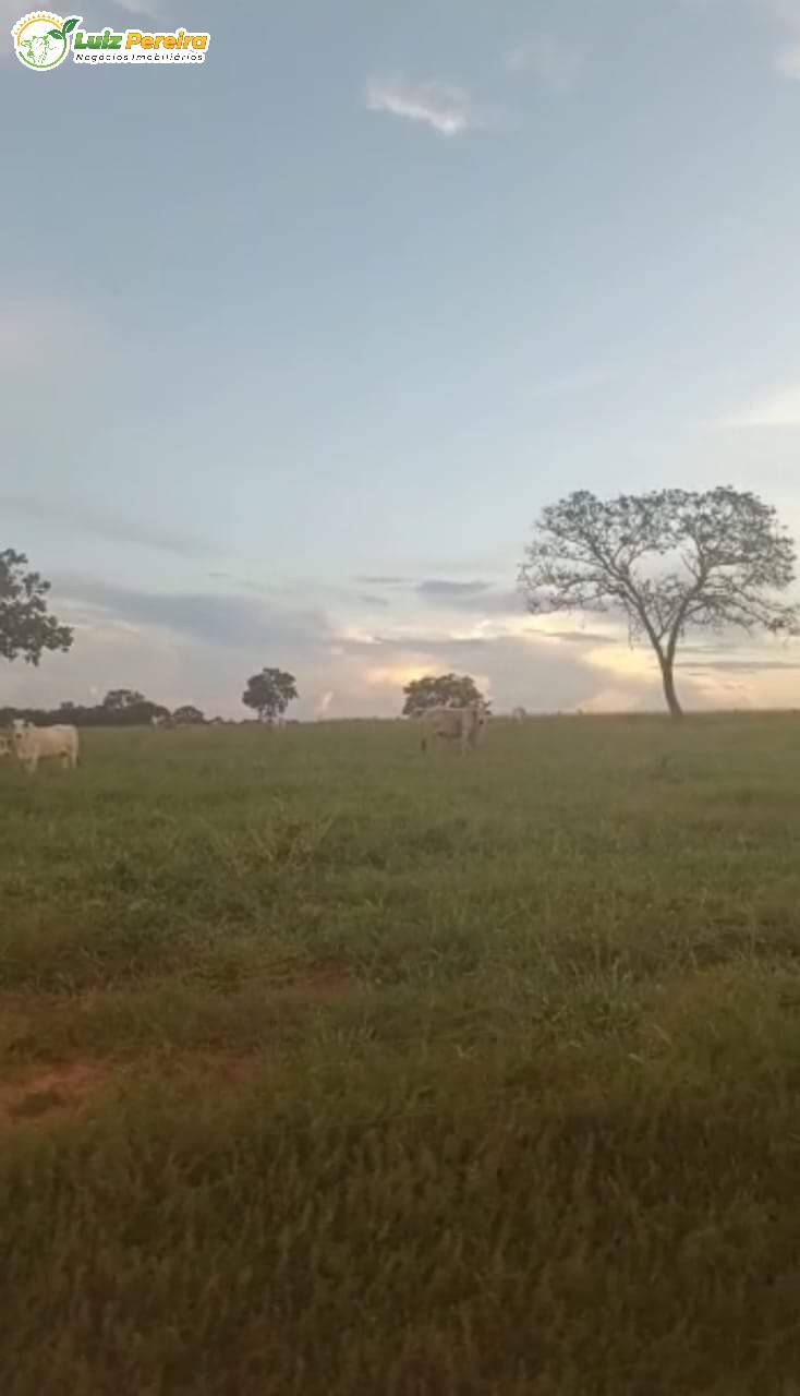 Terreno, 343 m² - Foto 6