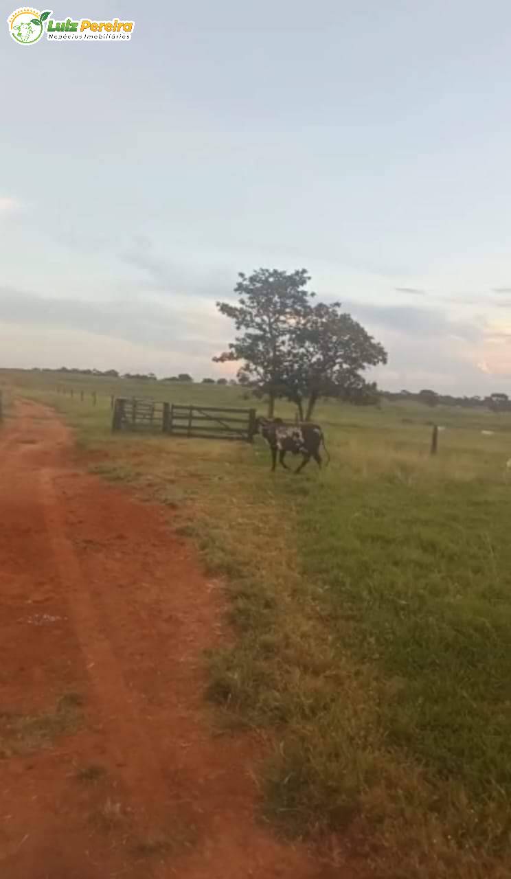 Terreno, 343 m² - Foto 10