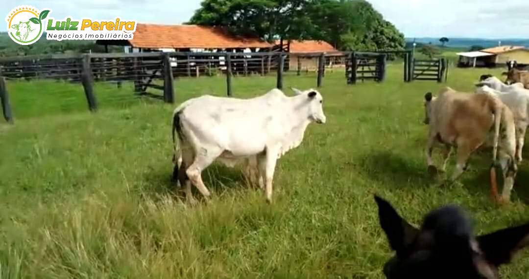 Terreno, 343 m² - Foto 2