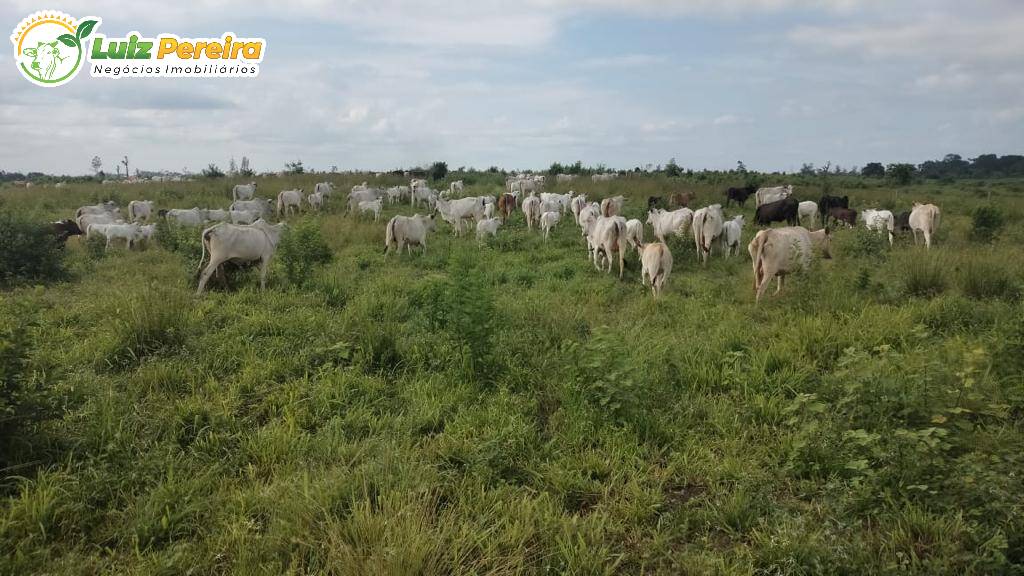 Terreno à venda, 840m² - Foto 11