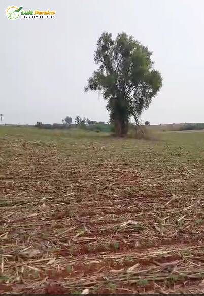 Terreno à venda, 1059m² - Foto 10