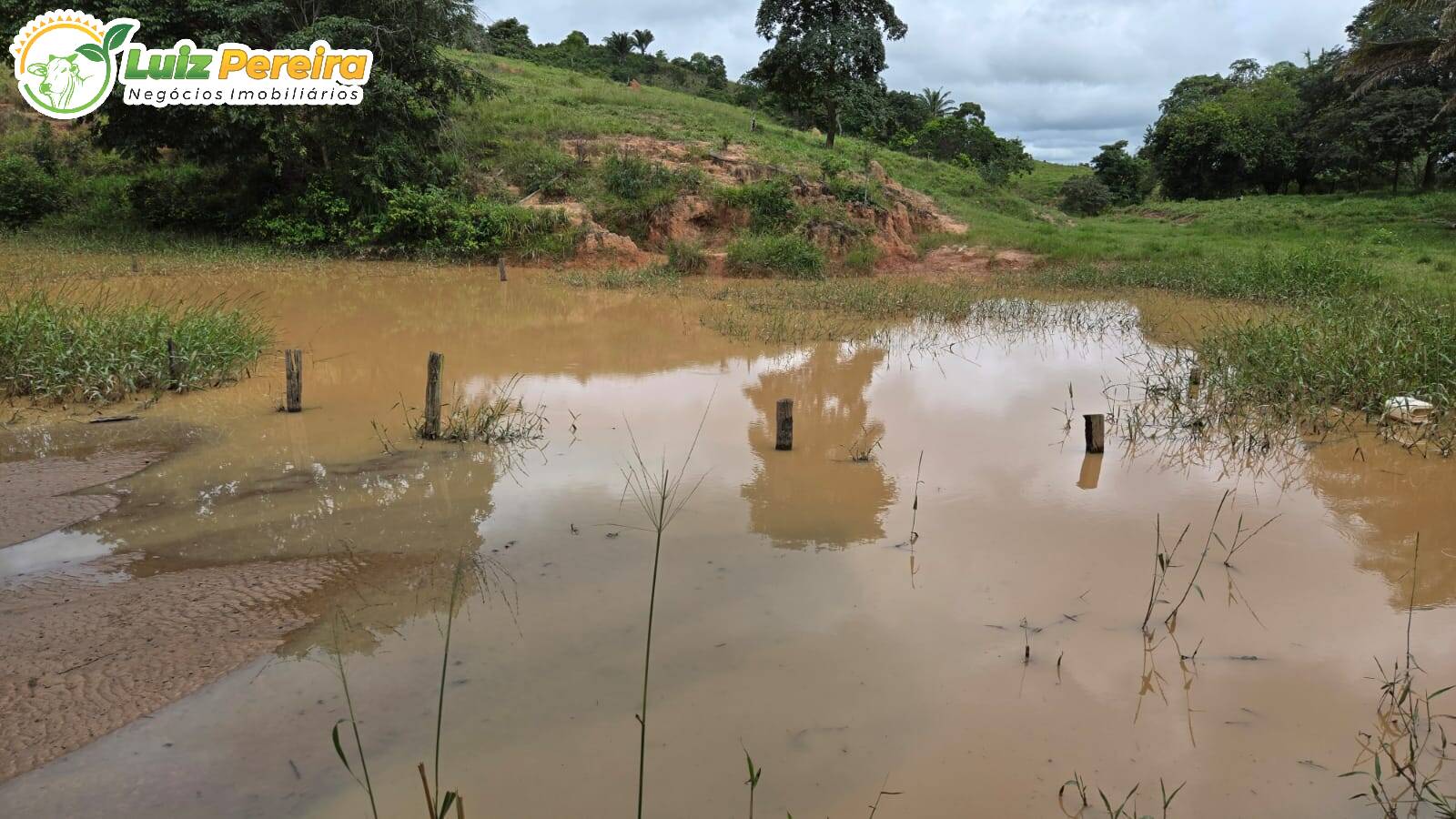 Terreno, 372 m² - Foto 4