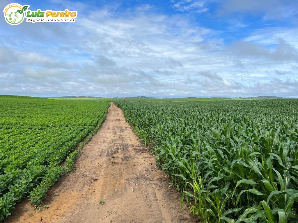 Terreno à venda - Foto 2