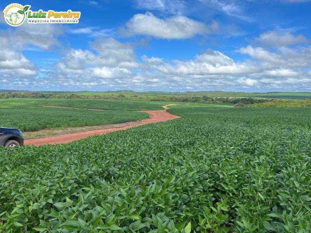 Terreno à venda - Foto 3