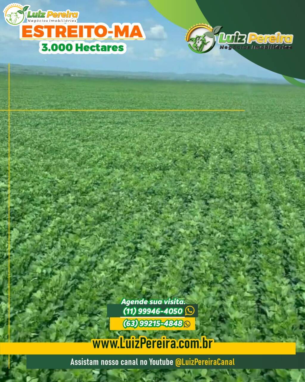 Terreno, 3000 m² - Foto 2