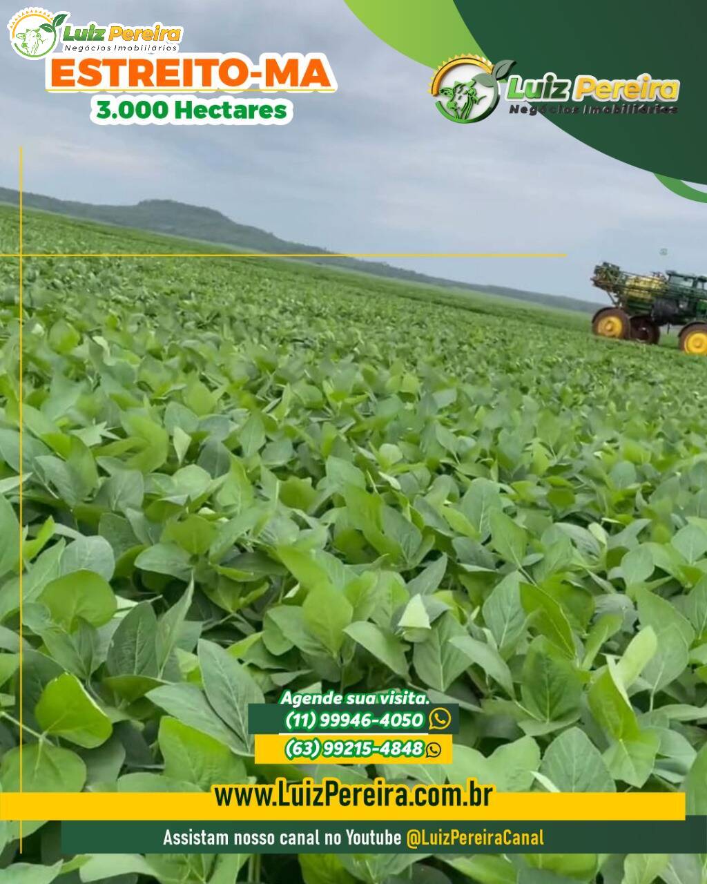 Terreno, 3000 m² - Foto 3