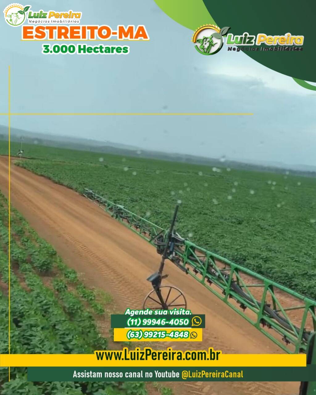 Terreno, 3000 m² - Foto 5