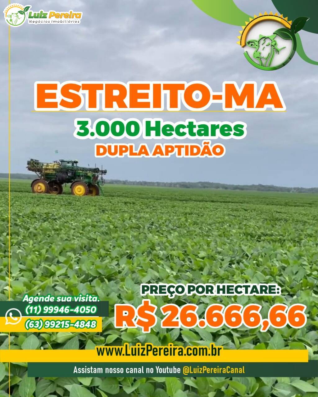 Terreno, 3000 m² - Foto 4