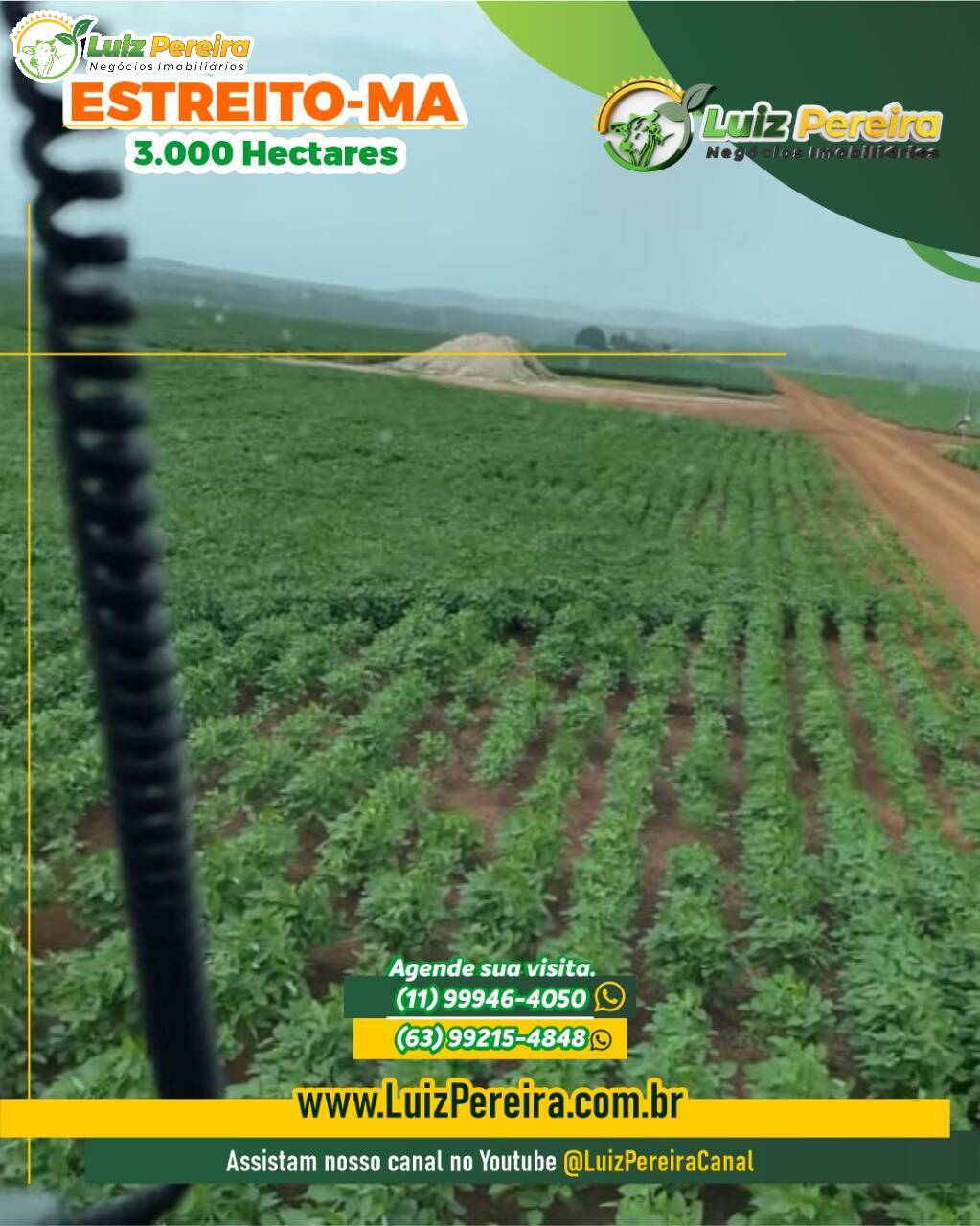 Terreno, 3000 m² - Foto 6