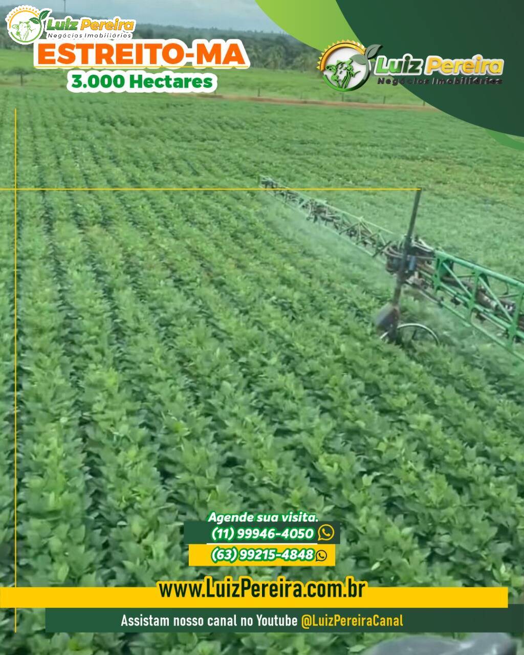 Terreno, 3000 m² - Foto 1