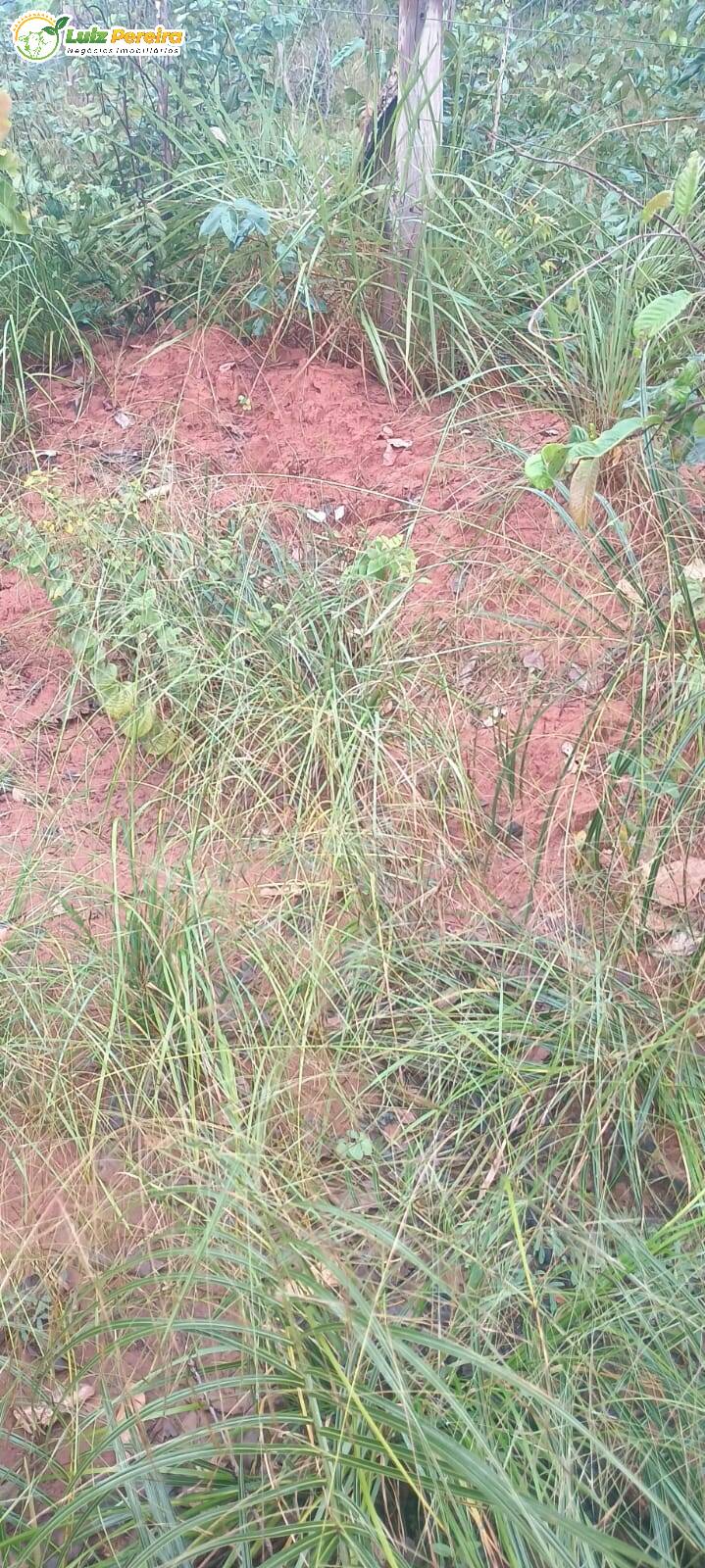 Terreno à venda - Foto 7