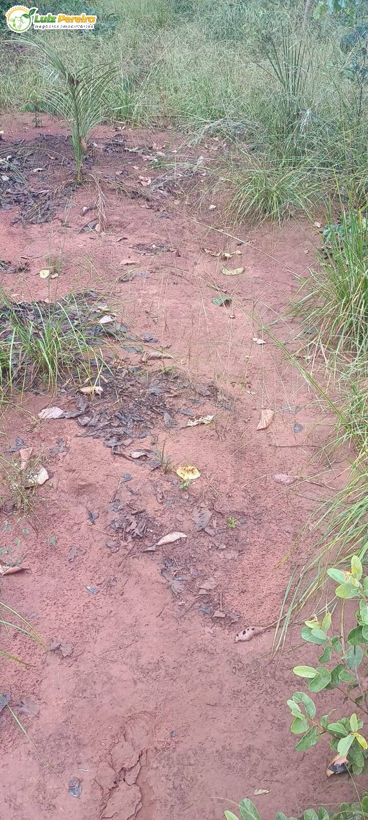 Terreno à venda - Foto 8