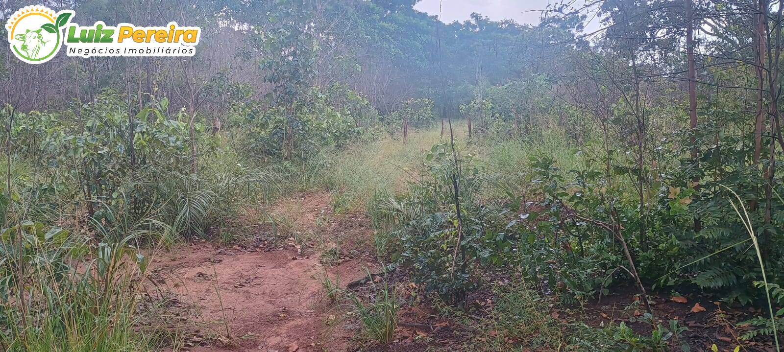 Terreno à venda - Foto 11