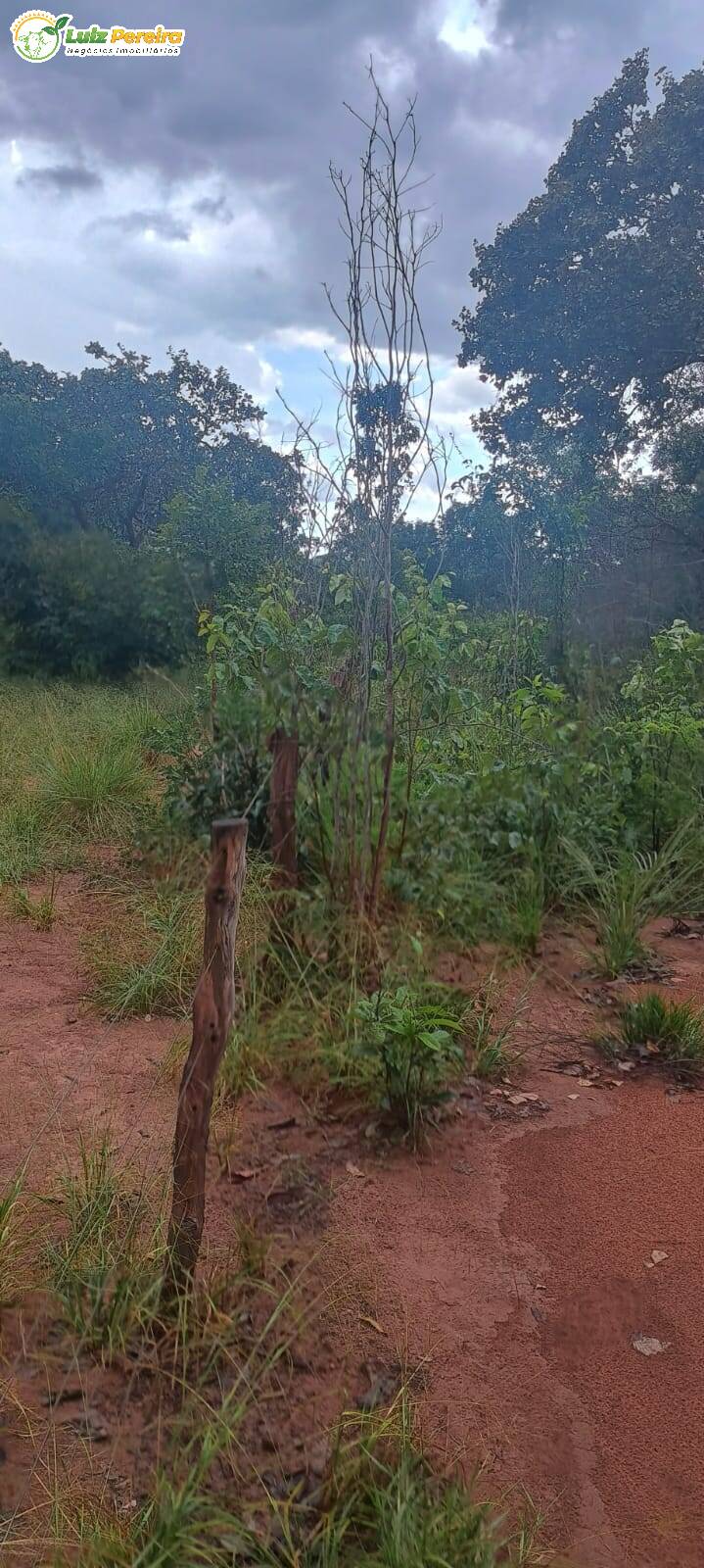 Terreno à venda - Foto 10