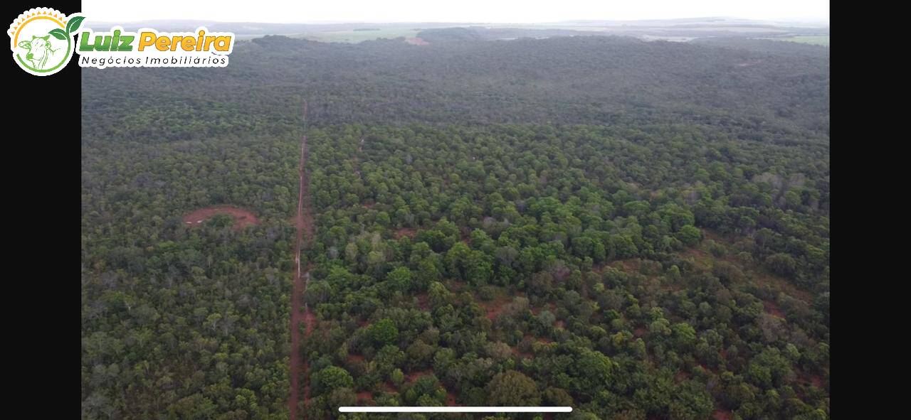 Terreno à venda - Foto 4
