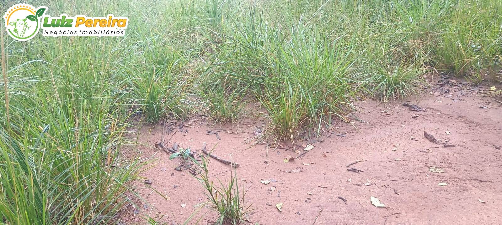 Terreno à venda - Foto 14