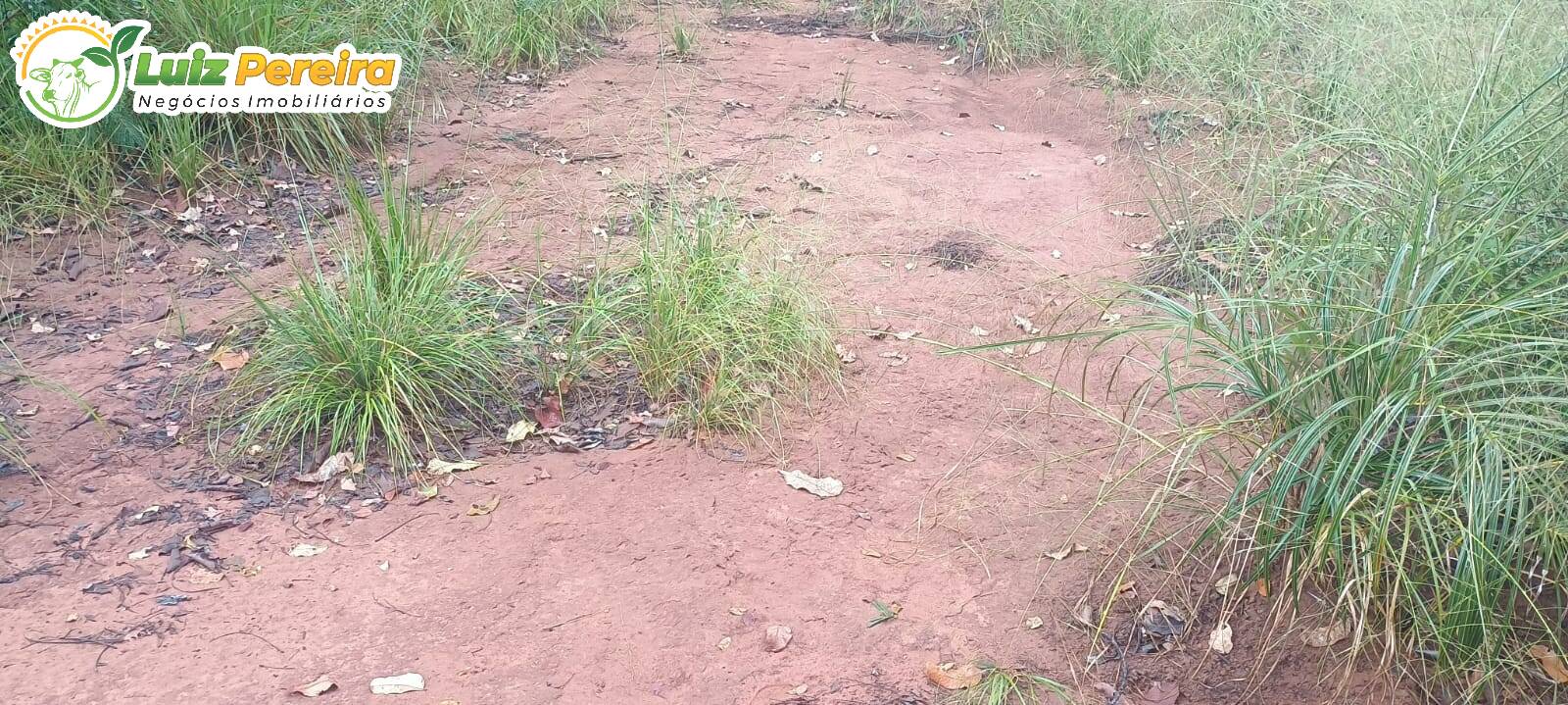 Terreno à venda - Foto 12