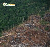 Terreno, 3 hectares - Foto 5