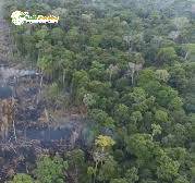 Terreno, 3 hectares - Foto 6