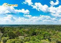 Terreno, 3 hectares - Foto 3