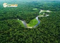 Terreno, 3 hectares - Foto 4