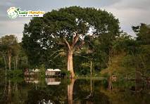 Terreno, 3 hectares - Foto 1