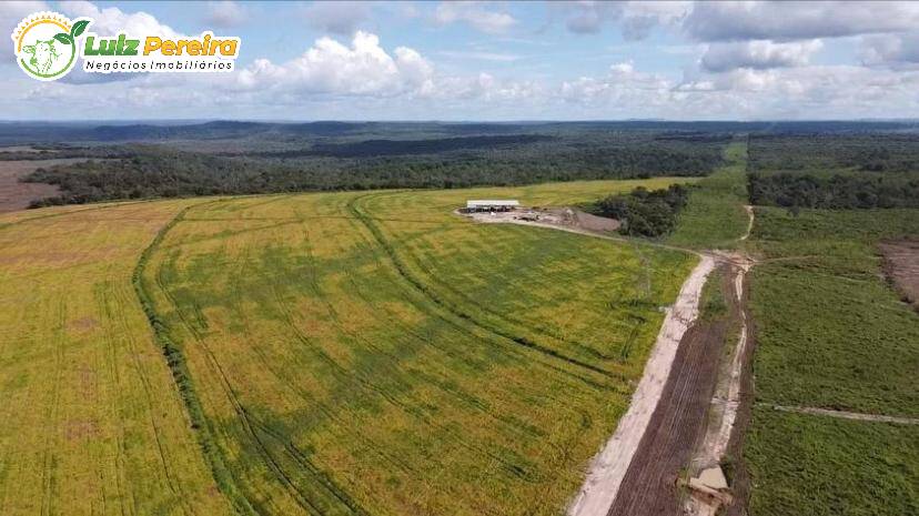 Terreno à venda, 2200m² - Foto 1