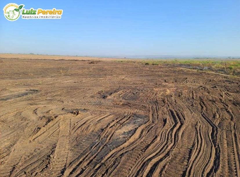 Terreno à venda, 2200m² - Foto 5