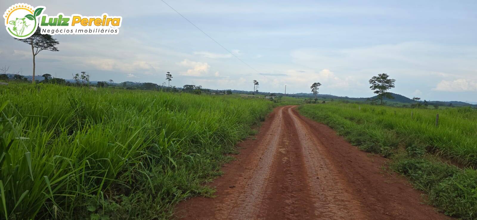 Terreno, 5130 m² - Foto 5