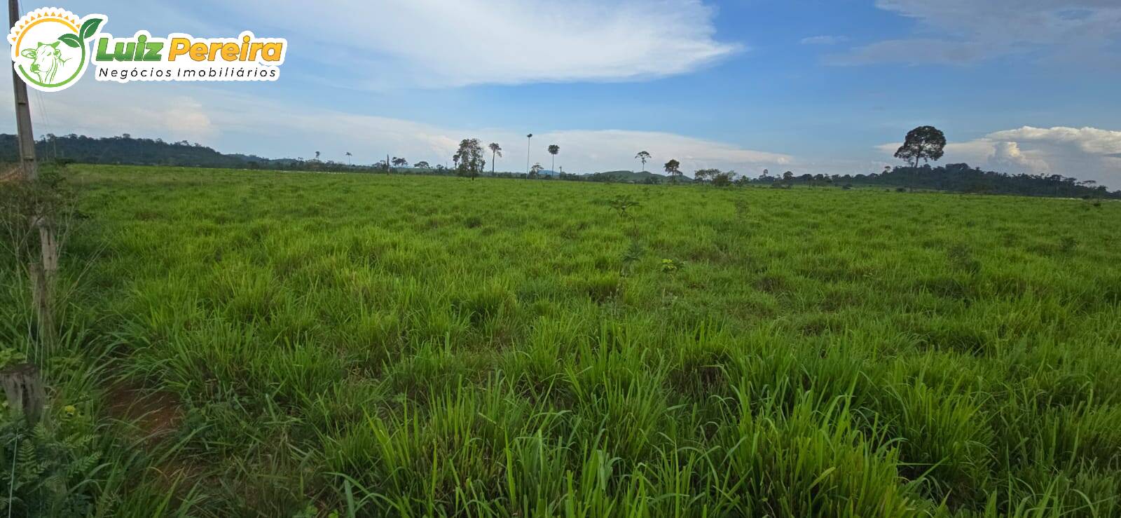 Terreno, 5130 m² - Foto 3